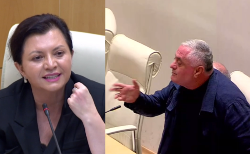 "ეს ყმუილი თქვენი კოლეგების მიმართ განახორციელეთ" - ხმაური და დაპირისპირება პარლამენტში 