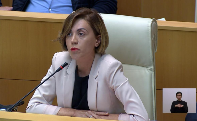 წითლიძე პაპუაშვილს: რად გიღირთ სკამი, როცა პარლამენტის თავმჯდომარეს და უმრავლესობას, „რობოკოპების“ და კრიმინალური პოლიციის გარეშე სესია და კომიტეტის სხდომები ვერ ჩაგიტარებიათ
