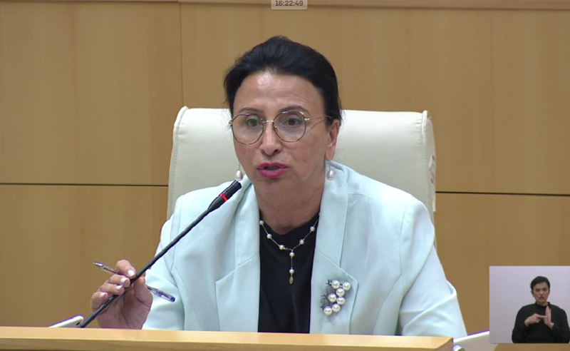რას ეუბნებით შვილებს თქვენი საქციელისთვის, რასაც ამ დღეებში აკეთებთ? - რიმა ბერაძე მსხილაძეს