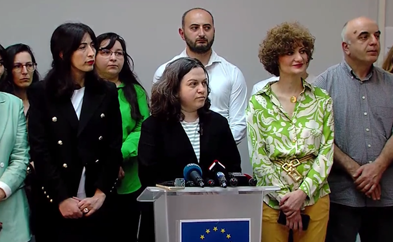 შეუერთდებიან თუ არა საკონსტიტუციო სარჩელს პრეზიდენტი და ომბუდსმენი - რა გეგმა აქვთ არასამთავრობოებს