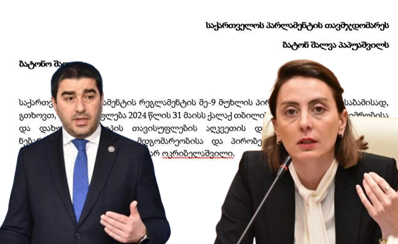 პაპუაშვილმა დეკანოიძეს აქციაზე დაკავებული აქტივისტის საპატიმროში მოენახულების უფლება არ მისცა