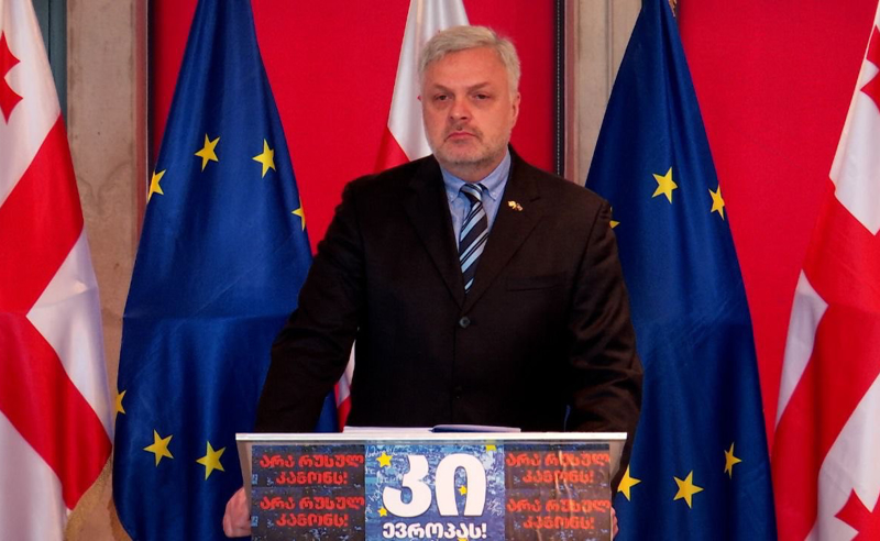 ვიცით, რომ არავის არ დასჯიან, რადგან ეს არის კრიმინალური რეჟიმი - ბარამიძე ენმ-ში შეჭრაზე