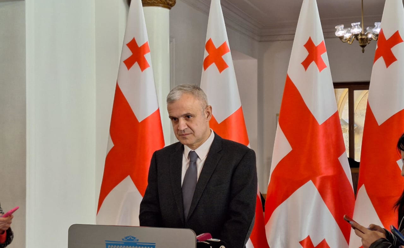 ეს არის შეშინებული ხელისუფლების სახე, რომელიც ცდილობს, ოპონენტს ძალის გამოყენებით ელაპარაკოს - ჯანაშია 