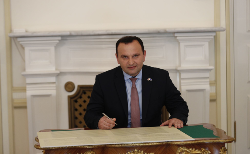 "რუსული კოშმარი დაპირისპირებაში შევიდა ქართველ ხალხთან" - ქარტიას "სტრატეგია აღმაშენებელი" შეუერთდა