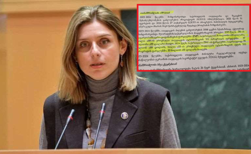 მთავრობა აღიარებს, რომ აშშ-ს დაფინანსება ჩვენი ჯარისთვის მიმდინარე წელს შეიძლება, შეჩერდეს - აქუბარდია