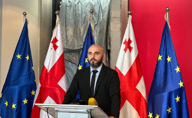 პარტნიორებს ვუზიარებთ ინფორმაციას "ოცნების თავდასხმების და ძალადობის შესახებ - ლევან ხაბეიშვილი ელჩებთან შეხვედრაზე