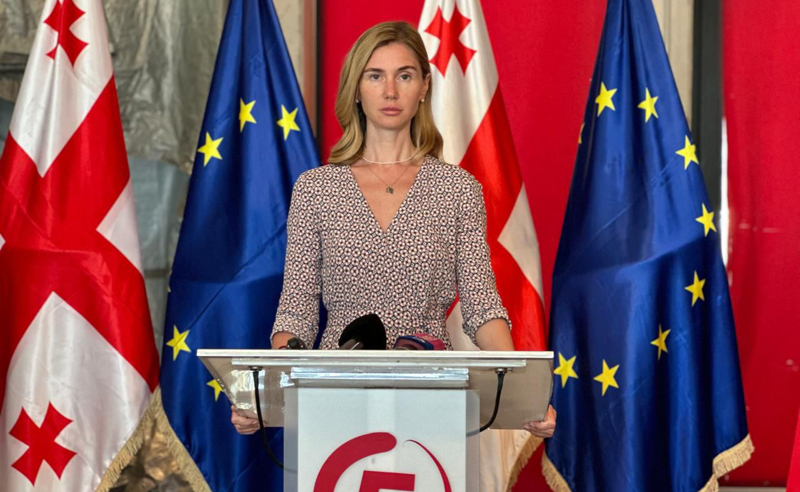 ჩვენი პარტნიორები ძალიან კარგად არიან ინფორმირებული იმ ფართომასშტაბიანი ტერორის შესახებ, რომელსაც ახორციელებს ივანიშვილის რეჟიმი - ბოკუჩავა