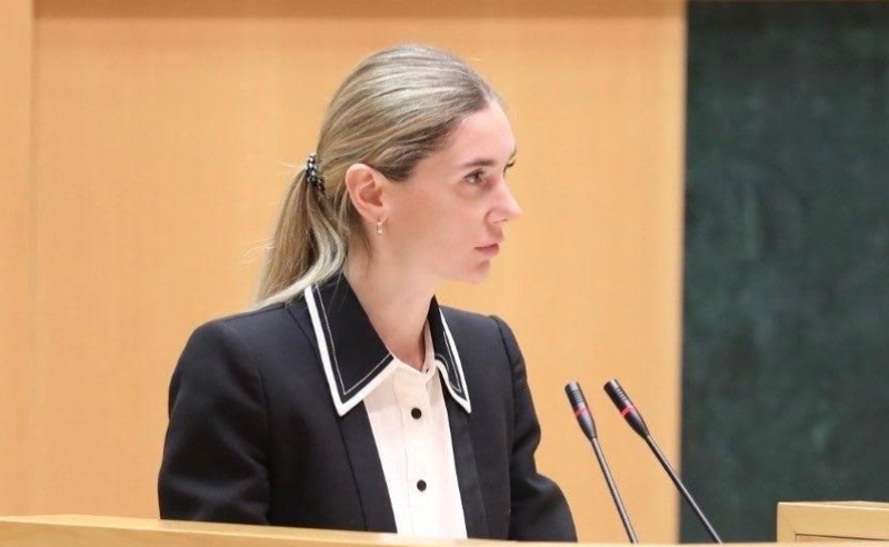"ოცნების" მიზანია, საქართველო საერთაშორისო იზოლაციაში მოაქციოს - ბოკუჩავა