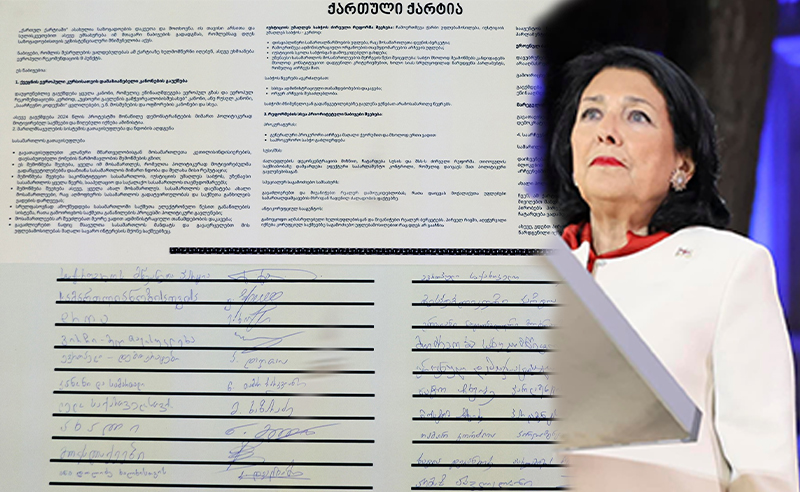 რას ცვლის ქართული ქარტია ქართულ პოლიტიკაში?