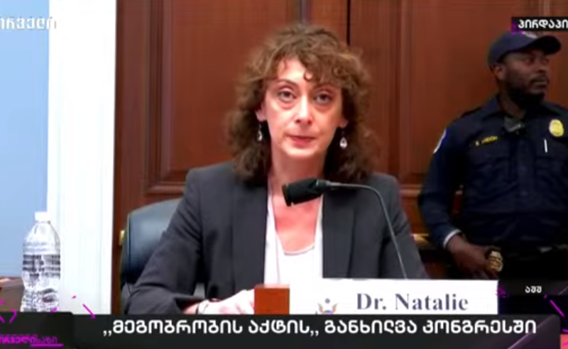 საბანაძე: გვაქვს ისეთი სიტუაცია, რომ შეიძლება დემოკრატიამ აღარ იფუნქციონიროს. ეს გახლავთ ჰიბრიდული დიქტატურა