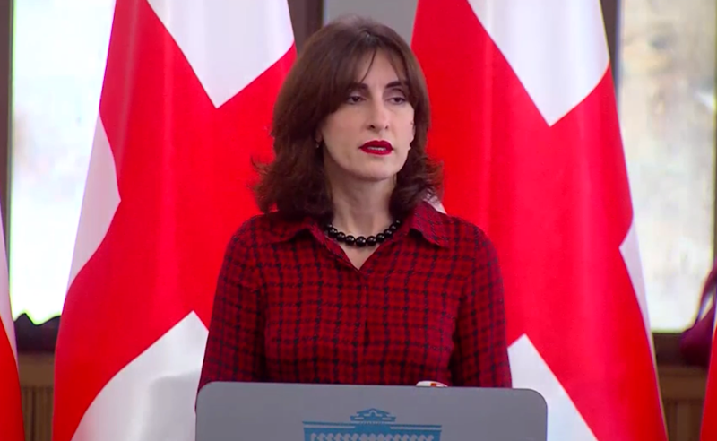 მეგობრები სანქციების ენით არ საუბრობენ - ბოჭორიშვილი კონგრესში გაკეთებული განცხადებებით "შეურაცხყოფილია"