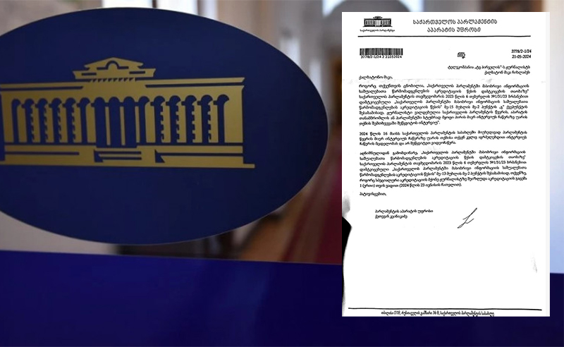 გურამ მაჭარაშვილის მოთხოვნით, პარლამენტმა აკრედიტაცია მაკა ჩიხლაძესაც შეუჩერა