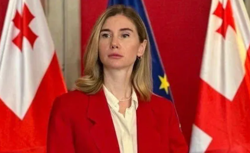 აშშ-ს კონგრესმენს მივმართეთ თხოვნით, რომ საქართველოში წინასაარჩევნო პერიოდში მაღალი დონის დელეგაციები ჩამოვიდნენ - ბოკუჩავა