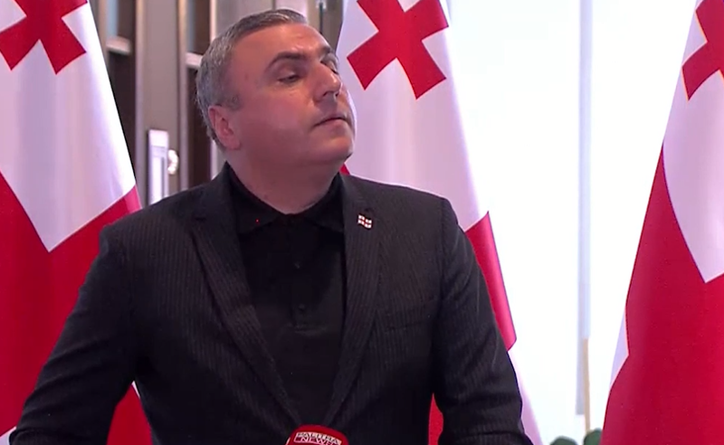 "ღალატის თვალსაჩინო მაგალითი" - მათიკაშვილი კონგრესმენებისთვის გაგზავნილ წერილზე