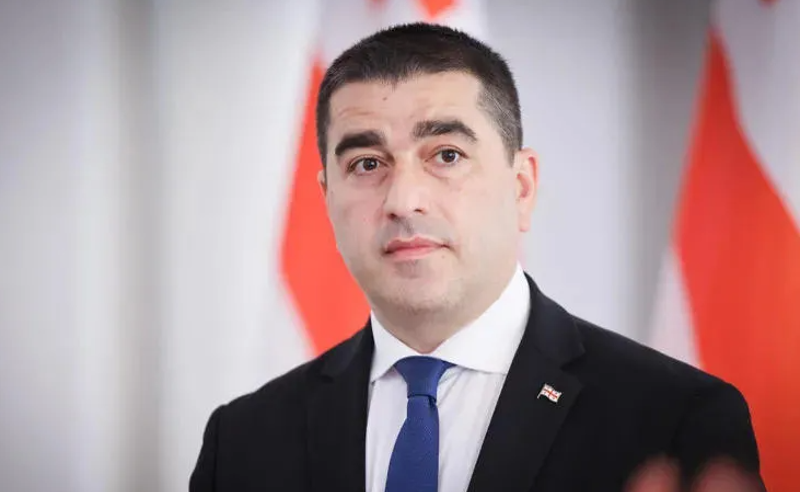 ევროკავშირის გადაწყვეტილებები დამსახურებაზე დაფუძნებული რომ ყოფილიყო, საქართველოსთან უკვე გახსნილი იქნებოდა გაწევრიანების მოლაპარაკებები - პაპუაშვილი