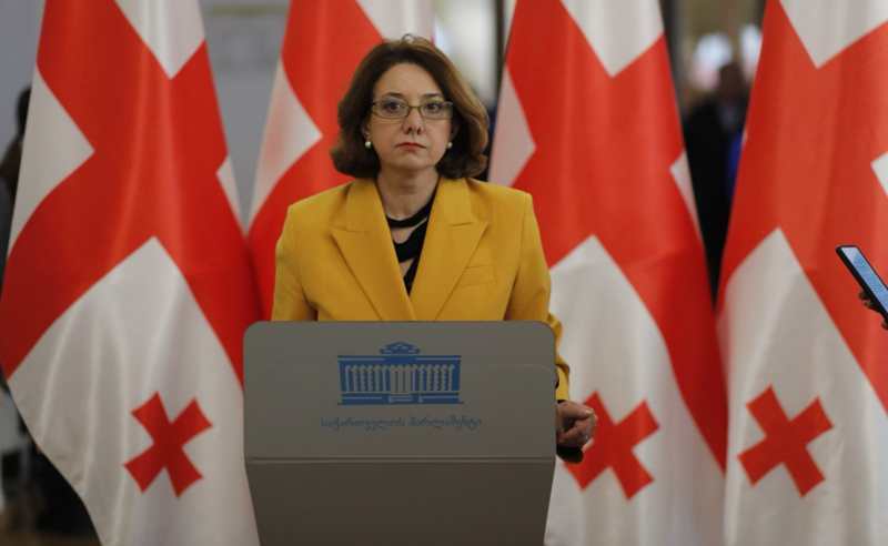 მაკრონის და ბაიდენის განცხადება ნიშნავს, რომ დასავლეთი არ აპირებს, საქართველო რუსეთს დაუთმოს - სამადაშვილი