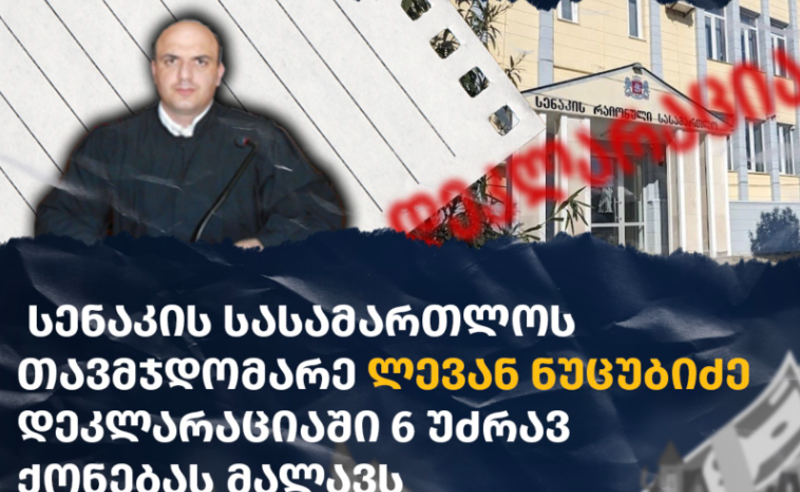 სენაკის სასამართლოს თავმჯდომარე, ლევან ნუცუბიძე დეკლარაციაში უძრავ ქონებას მალავს - TI