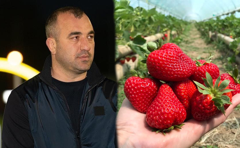 ვიცე გუბერნატორის მამა ამტკიცებს, რომ გიორგი სინჯიკაშვილი მარწყვის საკრეფად წავიდა (ვიდეო)