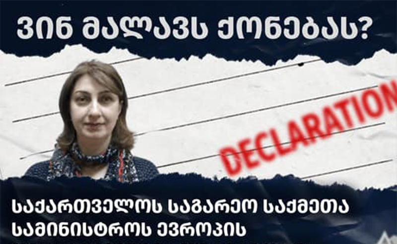 ვინ მალავს ქონებას? - TI-ის კვლევა