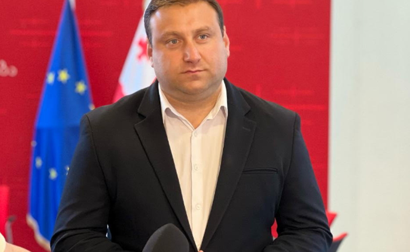 როდესაც ძირს უთხრი დემოკრატიას, სავიზო სანქციების გარდა, ამას მოჰყვება ინდივიდუალური ფინანსური სანქციები - ფარულავა