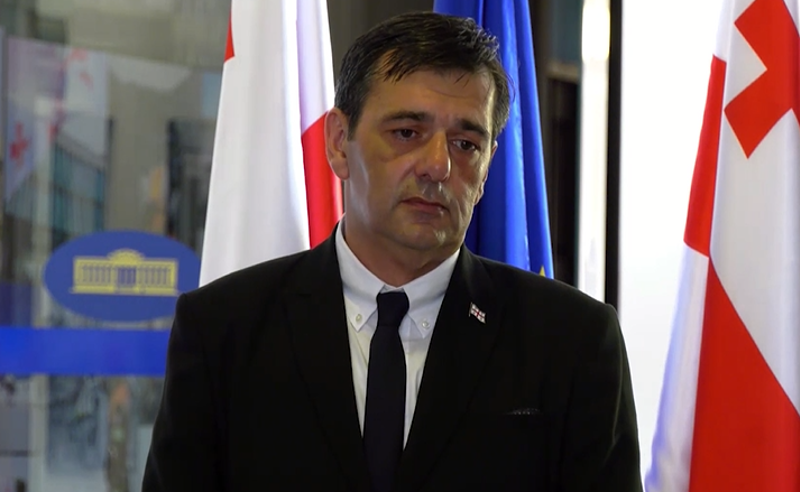ცესკო გამოდის ერთპარტიული - გიორგი მსხილაძე