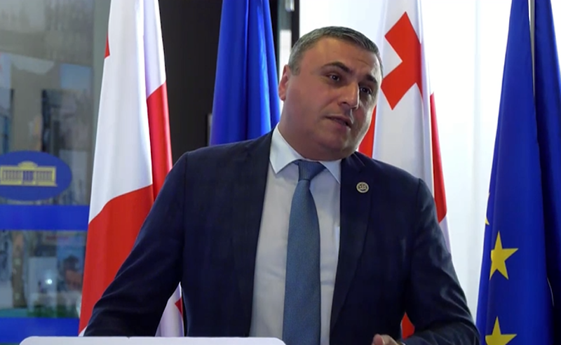 მათიკაშვილის თქმით, პრეზიდენტი ოპოზიციის "მედროშეა", რომელიც "ვეტოს ვეტოზე ადებს და სხვა საქმე არ აქვს"