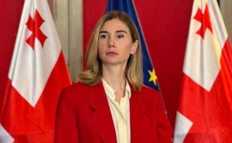 ოპოზიციის ერთიანობის დეკლარაცია მნიშვნელოვანი განაცხადია ივანიშვილის პრორუსული ხელისუფლების დასამარცხებლად - ბოკუჩავა