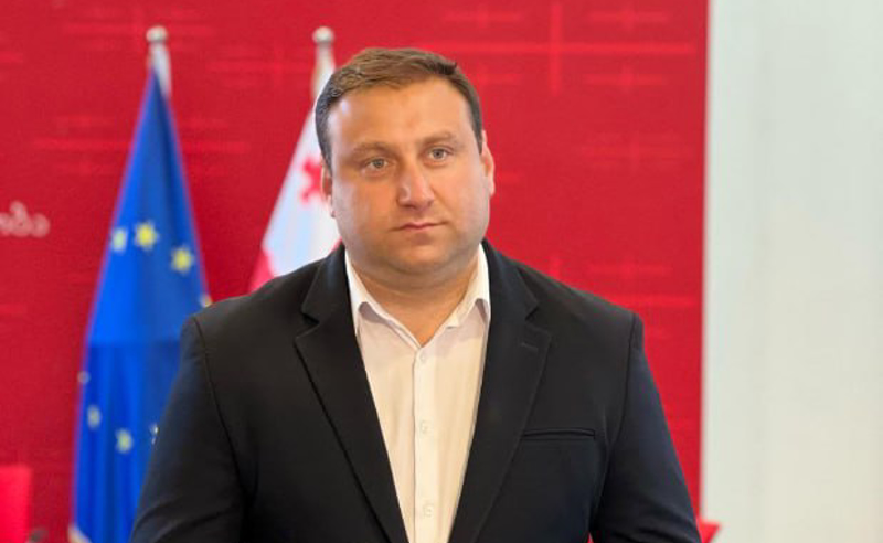 ჯონ ბასის განცხადება პირველ რიგში ეხმიანება იმას, რომ ის პროგრესი, რაც ჰქონდა საქართველოს, ივანიშვილის პარტიამ რუსული კანონის რეინიცირების შემდეგ აბსოლუტურად დაუკარგა - ფარულავა