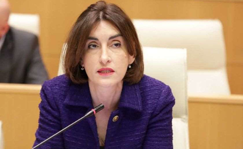 ბოჭორიშვილი ამტკიცებს, რომ დასავლელი პარტნიორები გაბუტულები არიან
