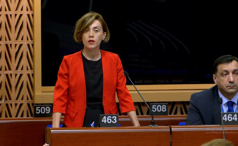 ჩემი ქვეყნის ევროინტეგრაცია და დემოკრატიის განვითარება საფრთხეშია - ანა წითლიძე