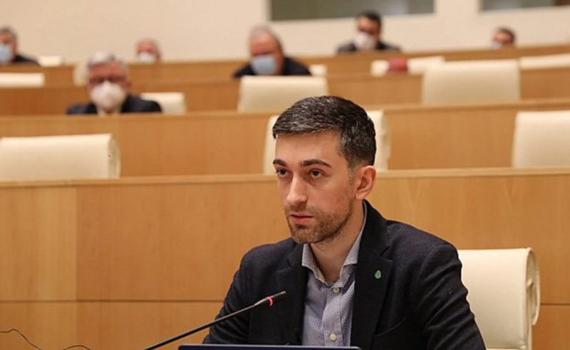 ამნისტია უნდა გავრცელდეს იმ მუხლებზეც, რომელზეც სააკაშვილს უკვე მისჯილი აქვს - ჰერმან საბო
