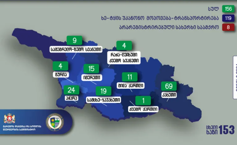 მიმდინარე წლის ივნისში, უკანონო ტყითსარგებლობის 156 ფაქტია გამოვლენილი