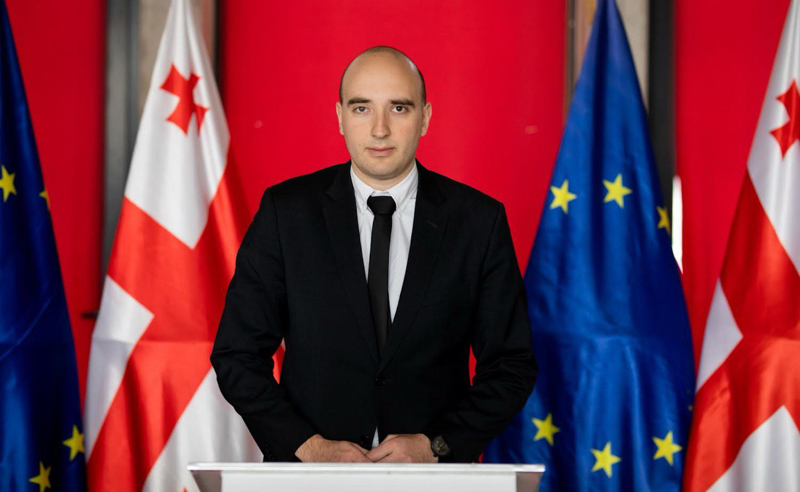ფავლენიშვილი: ნაციონალური მოძრაობის ძირითადი ატრიბუტიკა - ნომერი - ყველაფერი რჩება