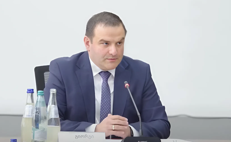 გიორგი გაბიტაშვილი ამტკიცებს, რომ პროკურატურა დამოუკიდებელია - კიდევ რა თქვა პროკურორობის კანდიდატმა გასაუბრებაზე