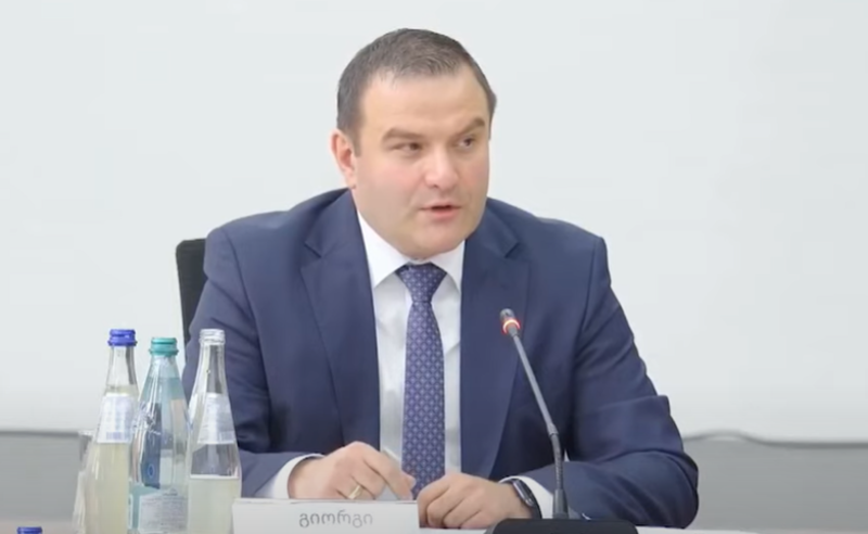 გიორგი გაბიტაშვილი პროკურორად არჩევის შემთხვევაში საკადრო ცვლილებებს არ გამორიცხავს