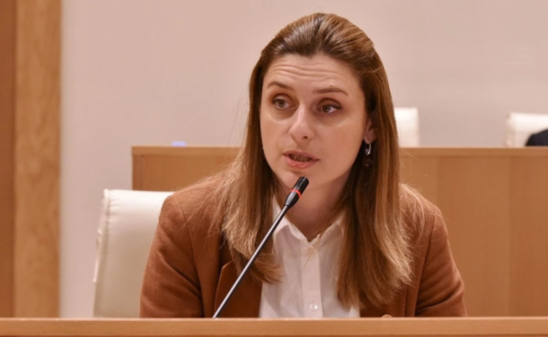 ნატოს წევრმა ქვეყანამ საქართველოსთვის განკუთვნილი დახმარება გაყინა