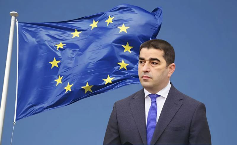 ოლიგარქის გუნდს სანქციებს ერთი ნაბიჯი აშორებს - "ოცნება" ისევ პარტნიორებს ლანძღავს
