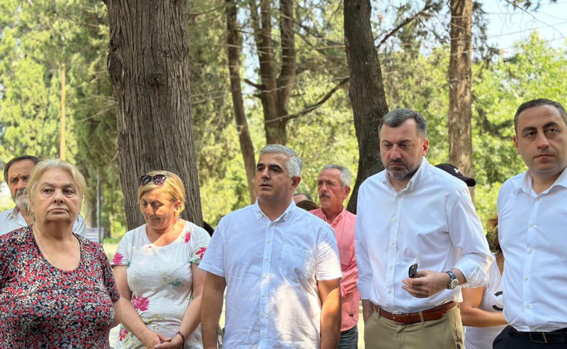 მნიშვნელოვანია ყველა ქალაქში, თითოეულ მოქალაქესთან შეხვედრა და გაზიარება იმისა, თუ როგორ წარმოგვიდგენია ქვეყნის განვითარება - ბოტკოველი
