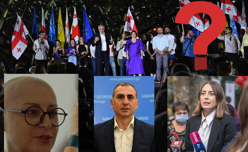 ელისაშვილი, დეკანოიძე, სამნიძე? - ვის ვიხილავთ ახალ პოლიტკურ ცენტრში?