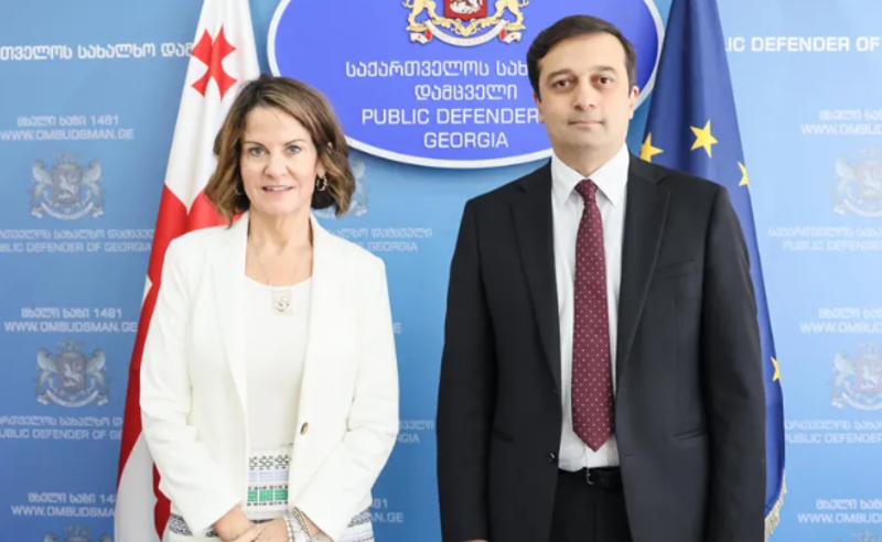საკონსტიტუციო სარჩელი რუსული კანონის წინააღმდეგ, არჩევნები - რაზე ისაუბრა ომბუდსმენმა ამერიკის ელჩთან