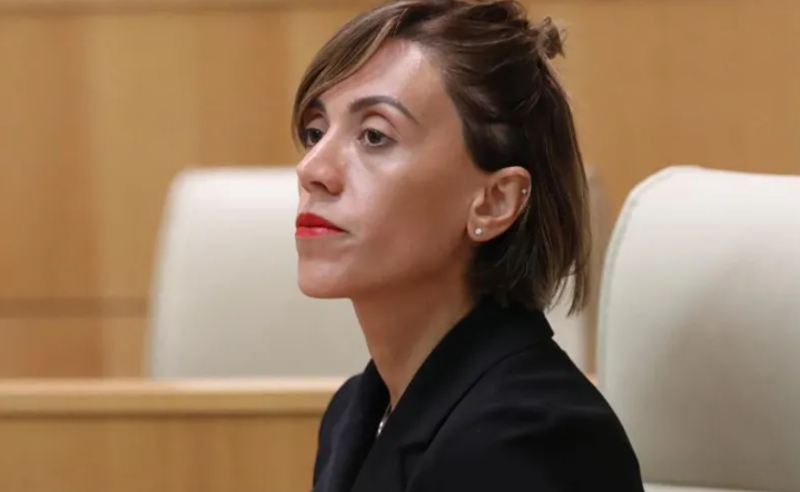 ანა წითლიძე - რუსულ კანონთან დაკავშირებით ყველანაირი სამართლებრივი გზა უნდა იქნეს გამოყენებული