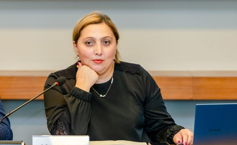 „მურუსიძეს არ უნდა სისტემაში კრიტიკულად განწყობილი წევრი“ -  ნაზი ჯანეზაშვილი 