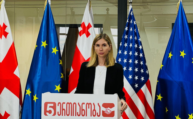 "დეზინფორმაცია და რუსული სტილის პროპაგანდა" - თინა ბოკუჩავა სუსის განცხადებაზე