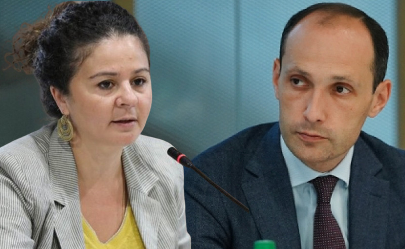 დავითაშვილი საფრანგეთის ელჩს: ეს არ არის საჩუქარი, ეს არის სესხი