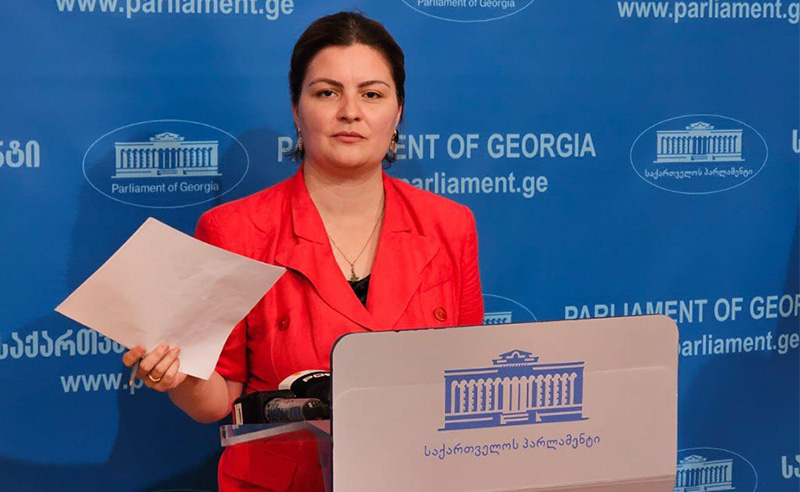 ანა ნაცვლიშვილი 400 ლარიანი ჯებირის საქმეზე დაკავებულ აქტივისტებს თავდებში უდგება