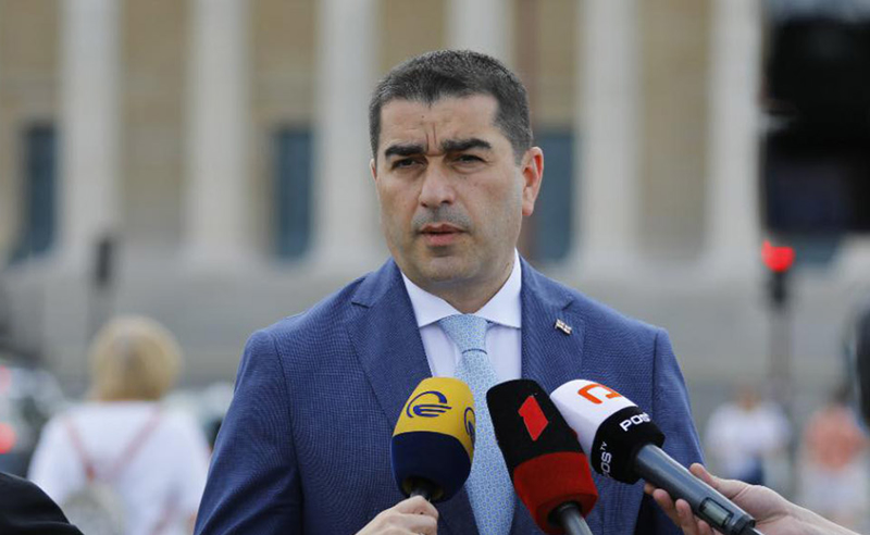 "ხალხის რისხვის პირველი ტალღა მათ ამ დღეებში უკვე მიიღეს" - პაპუაშვილი ოპოზიციასა და არასამთავრობოებზე