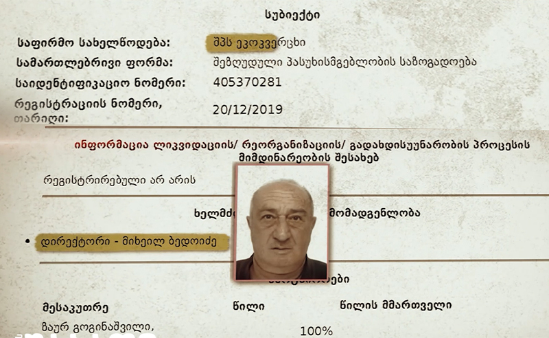 იღებს თუ არა გომელაურის მოადგილე დამატებით შემოსავალს კვერცხის ბიზნესიდან?