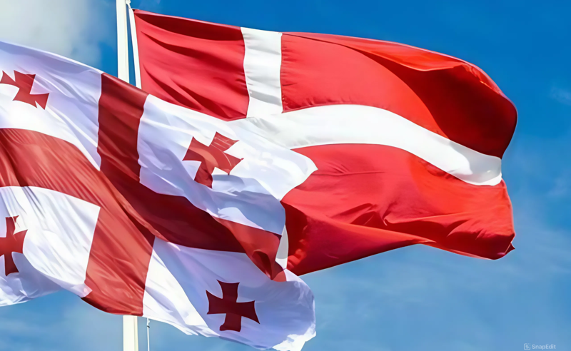 EU-ს კიდევ ერთი ქვეყანა, რომელიც საქართველოსთან სამხედრო თანამშრომლობას აჩერებს - დანია ურთერთობების გადახედვას აანონსებს