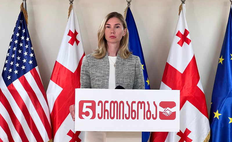 ივანიშვილმა კრემლის ანალოგი რუსული კანონი კრიტიკული მედიის გაჩუმების მიზნით მიიღო - ბოკუჩავა