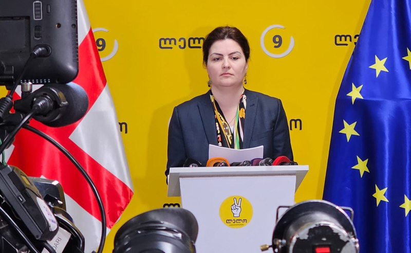 "ოცნებამ" იცის, რომ ქუთაისში არჩევნებს წააგებს, ამიტომ ცდილობს, რაღაც საკენკი დაუყაროს ხალხს - ნაცვლიშვილი